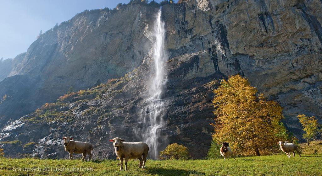 Camping Jungfrau Lauterbrunnen Extérieur photo