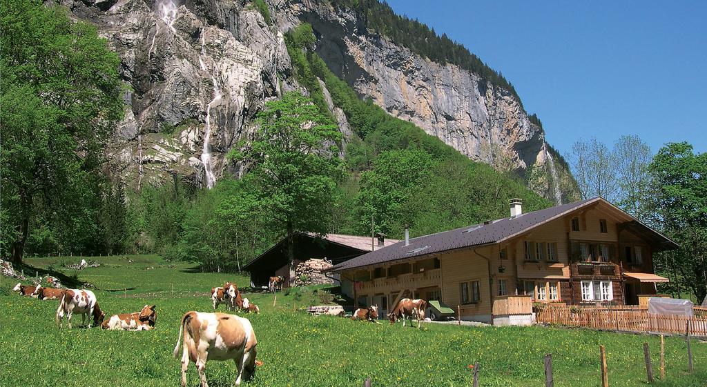 Camping Jungfrau Lauterbrunnen Extérieur photo